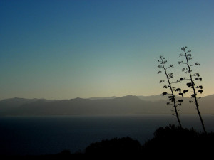Kuva: alizzze (Flickr)